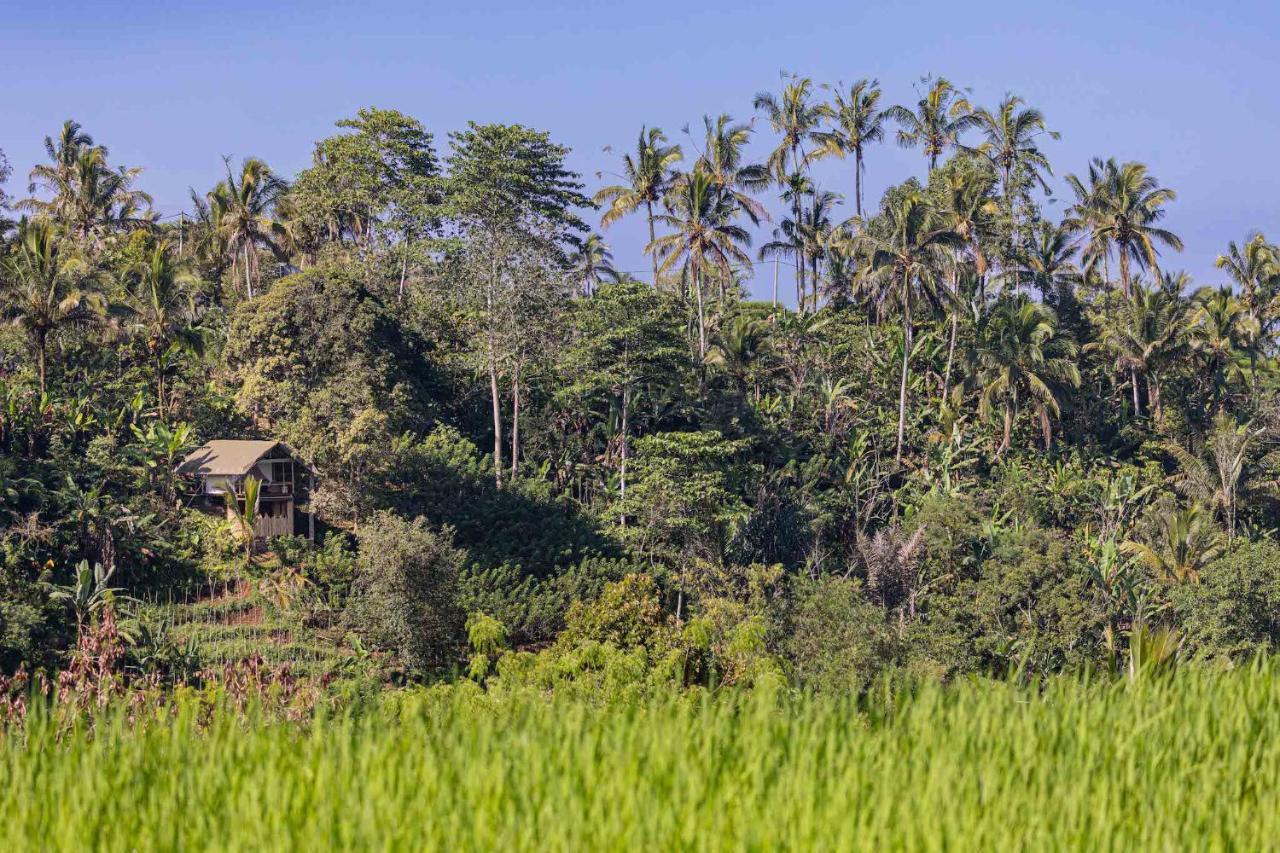 Sanda Plantation Hideaway Extérieur photo